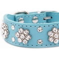 thumbnail image 6 of 1Pack Cute PU Leather Adjustable Puppy or cat Collar, Rhinestone Flower Pattern Studded Girl Dog or cat Collar - Pink, Red, Blue, Black for Small to Medium Dogs or Cats, 6 of 6