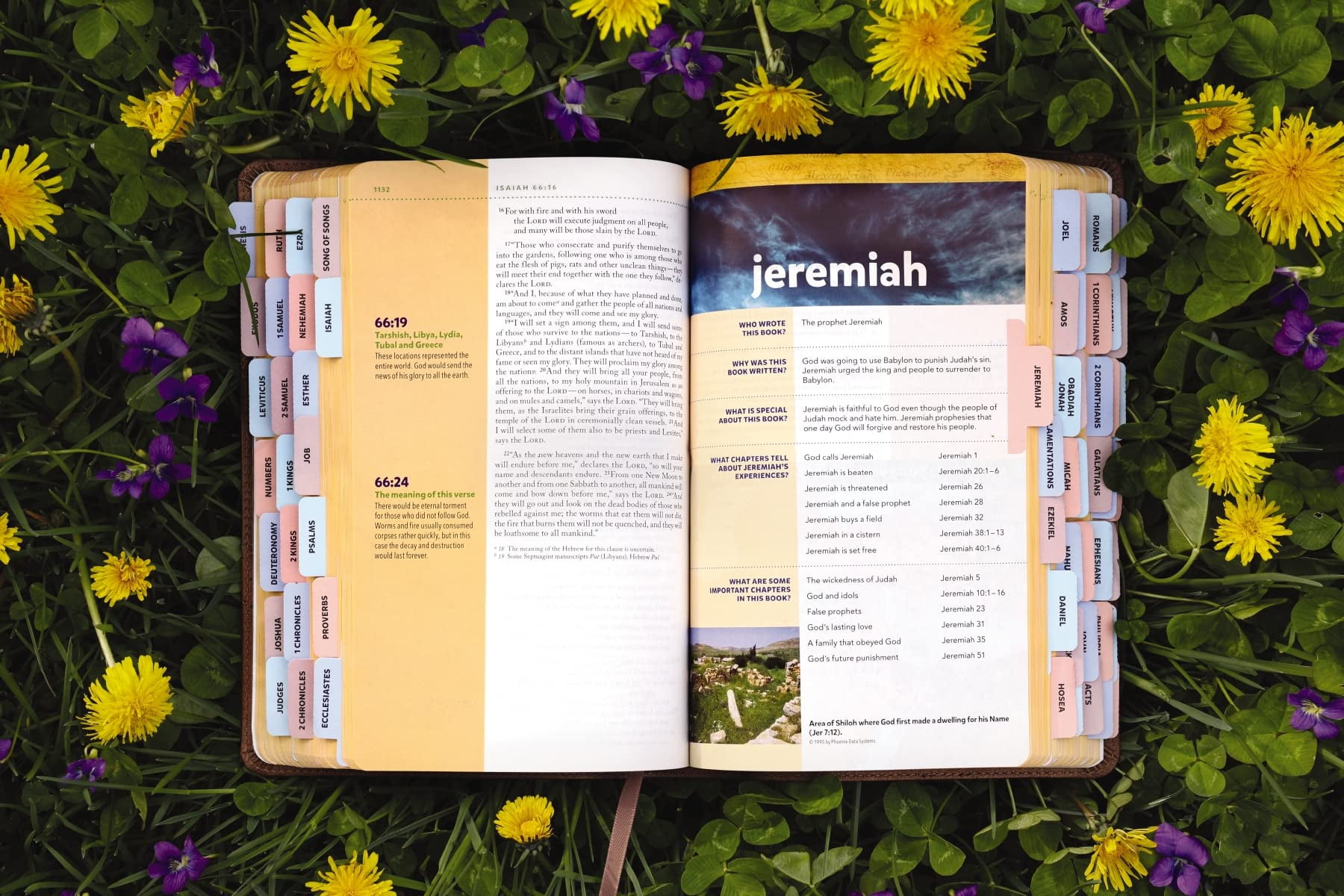 Niv, Kids' Visual Study Bible, Leathersoft, Bronze, Full Color Interior, Peel/Stick Bible Tabs: Explore the Story of the, (Hardcover)