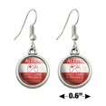 thumbnail image 4 of Alert Video Game In Progress Unauthorized Entry Eliminated Novelty Dangling Drop Charm Earrings, 4 of 5