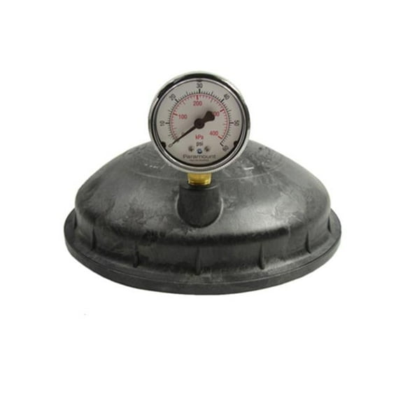 Paramount 005-302-4300-03 Water Valve Top with Pressure Gauge