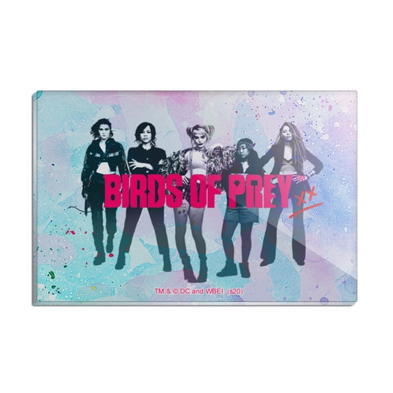 Birds of Prey Ladies Rectangle Acrylic Fridge Refrigerator Magnet