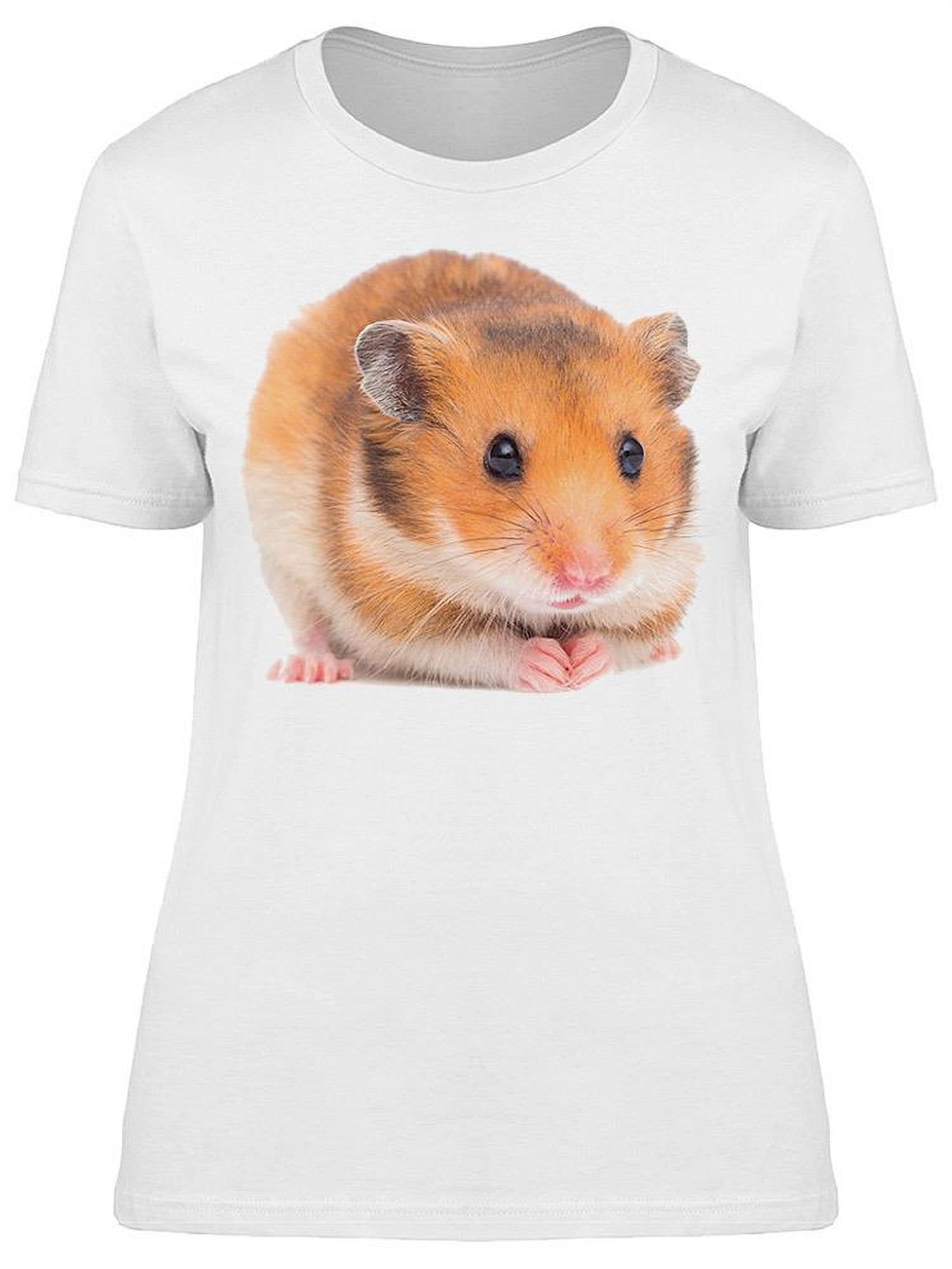 Футболка хомяк. Свитер с хомяком женский. Hamster woman. Hamster in t-Shirt picture. Т хомяки