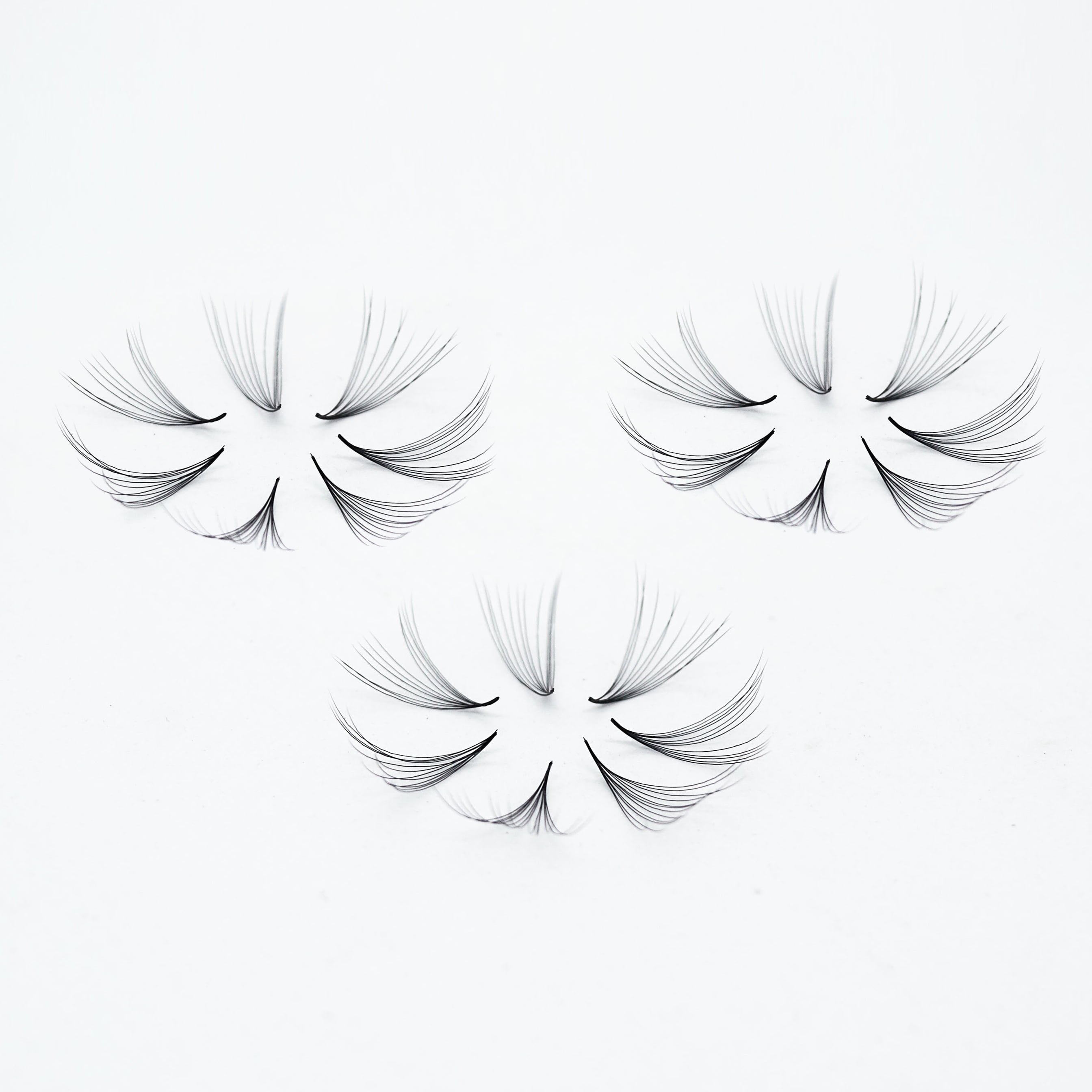 Mixed length 12D Curl D Lashes, 1000 Pro-made Volume Fans, 0.05mm thickness, Eyelash Extension. Handmade and Gorgeously Crafted!