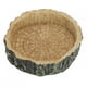 thumbnail image 1 of Goick Alimentador de Reptiles, Tortugas, Tortuga, Reptil, Agua, Cuenco de Comida Vegetal, Olla Redonda de Resina sintética para Comida para Mascotas, 1 of 5