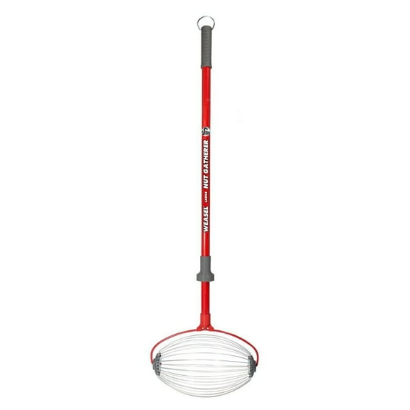 Garden Weasel Nut Gatherer - Large Carbon Steel, Adjustable Handle - 47.5 Inch Height, Red