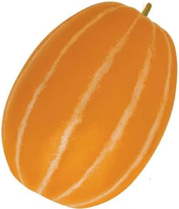10 Korean Melon Seeds Rare Orange Skinned Melon Dae Jang Geum