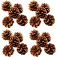 thumbnail image 1 of Piñas de pino secas naturales Ormromra 48 piezas decorativas, 1 of 5