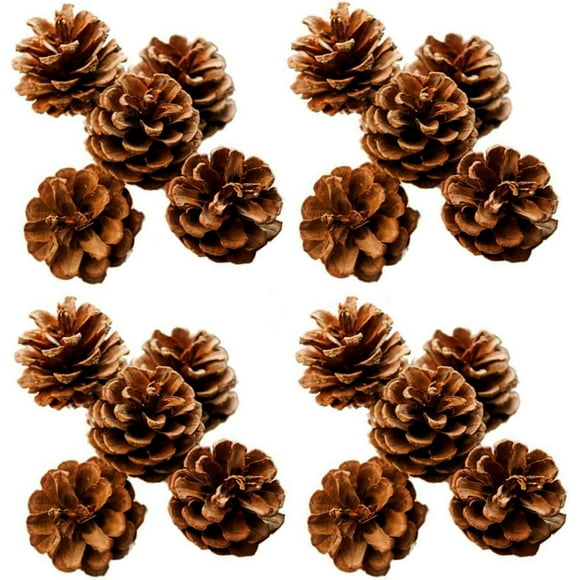 48 Pieces Natural Dried Pine Cones Decorative Hanging Pine Cones Christmas Pine Cone Decoration Christmas Hanging Decoration for Christmas Tree Decoration (Natural)