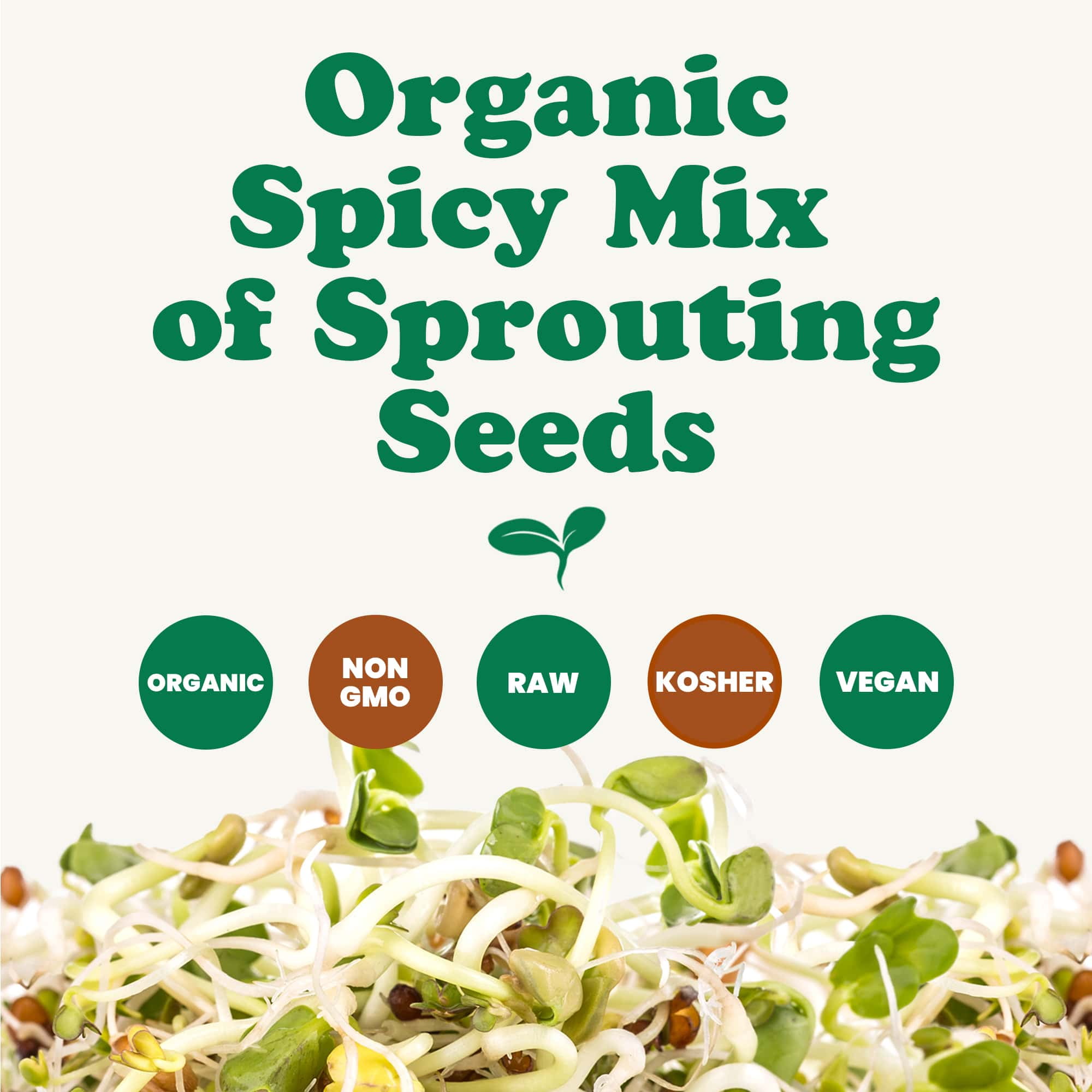 Organic Spicy Mix of Sprouting Seeds, 3 Pounds — Non-GMO, Raw, Vegan, Kosher, Sproutable — by Food to Live