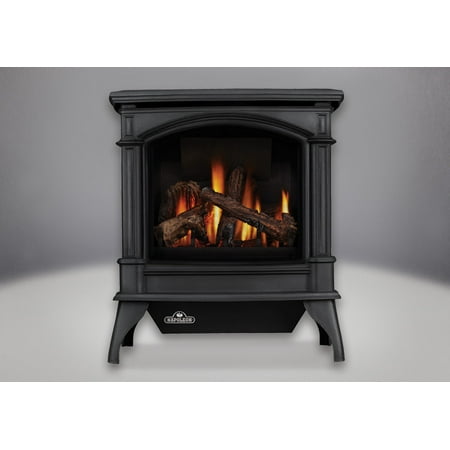 Napoleon Gds60 1nsb 35000 Btu Free Standing Direct Vent Natural