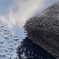 thumbnail image 3 of Becaristey 3pieces Car Drying Towel With Soft And Absorbent For Fast Drying Convenient And Practical Dry Cloth, 3 of 6