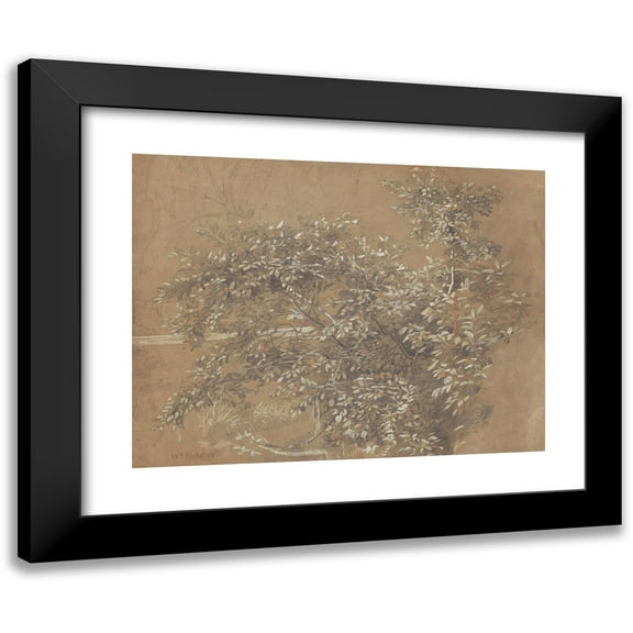 William Trost Richards 14x12 Black Modern Framed Museum Art Print Titled - Foliage (Late 19th Century)