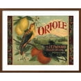 thumbnail image 2 of Art.com Oriole Brand - Pomona, California - Citrus Crate Label Art Print by Lantern Press, Brown Frame Wall Art, 29" x 23", 2 of 5