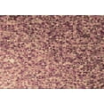 thumbnail image 1 of Ahgly Company Machine Washable Indoor Rectangle Transitional Cherry Red Area Rugs, 2' x 3', 1 of 7