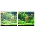 thumbnail image 4 of Médias de Filtration d'Aquarium Boules Bio Anneaux en Céramique Kits de Filtration Biologique pour Aquarium Étang Piscine, 4 of 8
