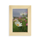 thumbnail image 1 of White Cosmos Escritorio de madera Arte Pintura 5x7 pies Marco de foto, 1 of 4
