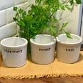thumbnail image 2 of Farmer's Market Herb Planters, Set of 3, Parsley, Rosemary, Basil, Rustic White, Crackle Glaze, 5 Inches, Country Rustic Kitchen, Counter Top, Vases, 2 of 5