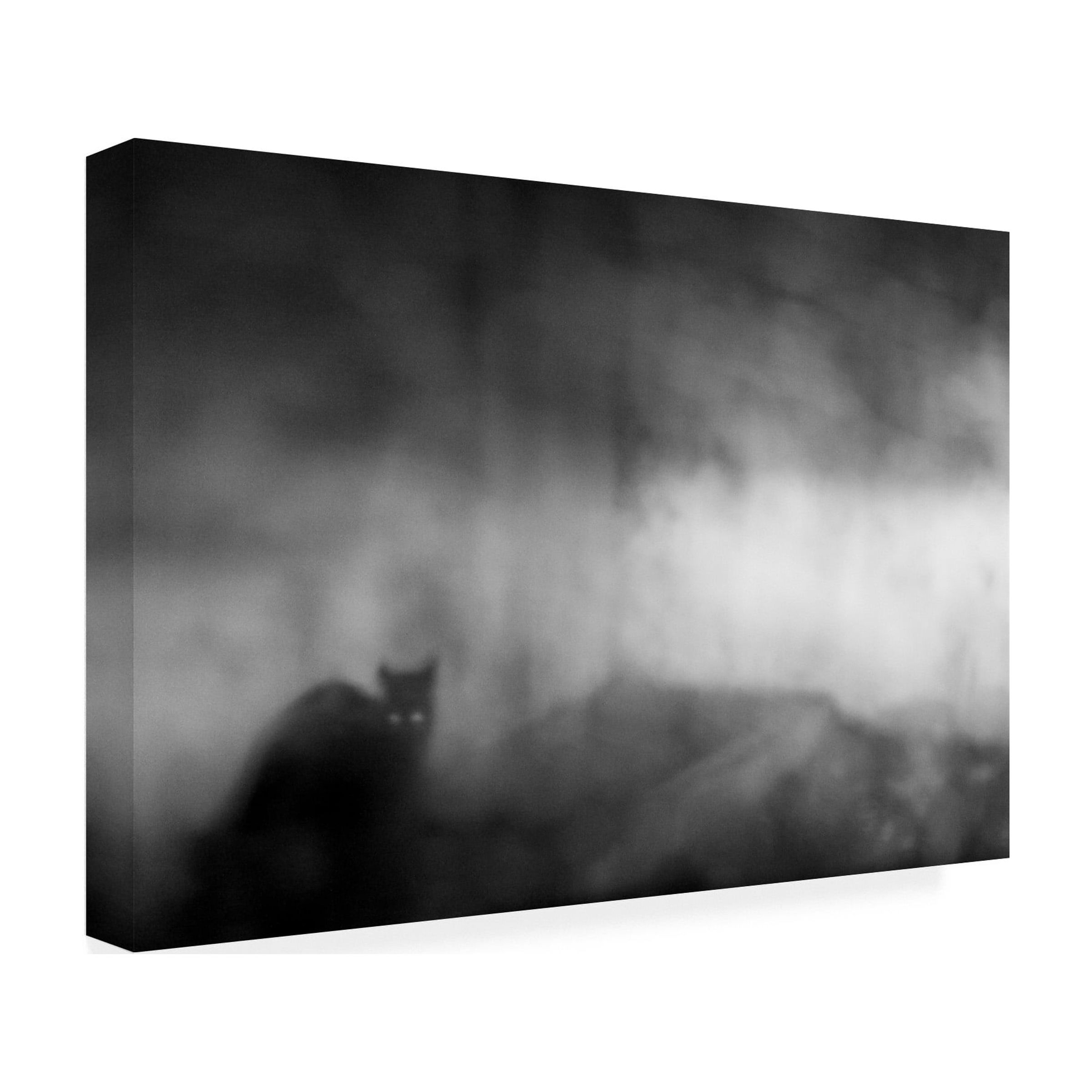 Tudor Amot 'Black Cat' Canvas Art