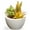 Black Finish, variant on 7.5 in. Succulent in Ceramic Pot