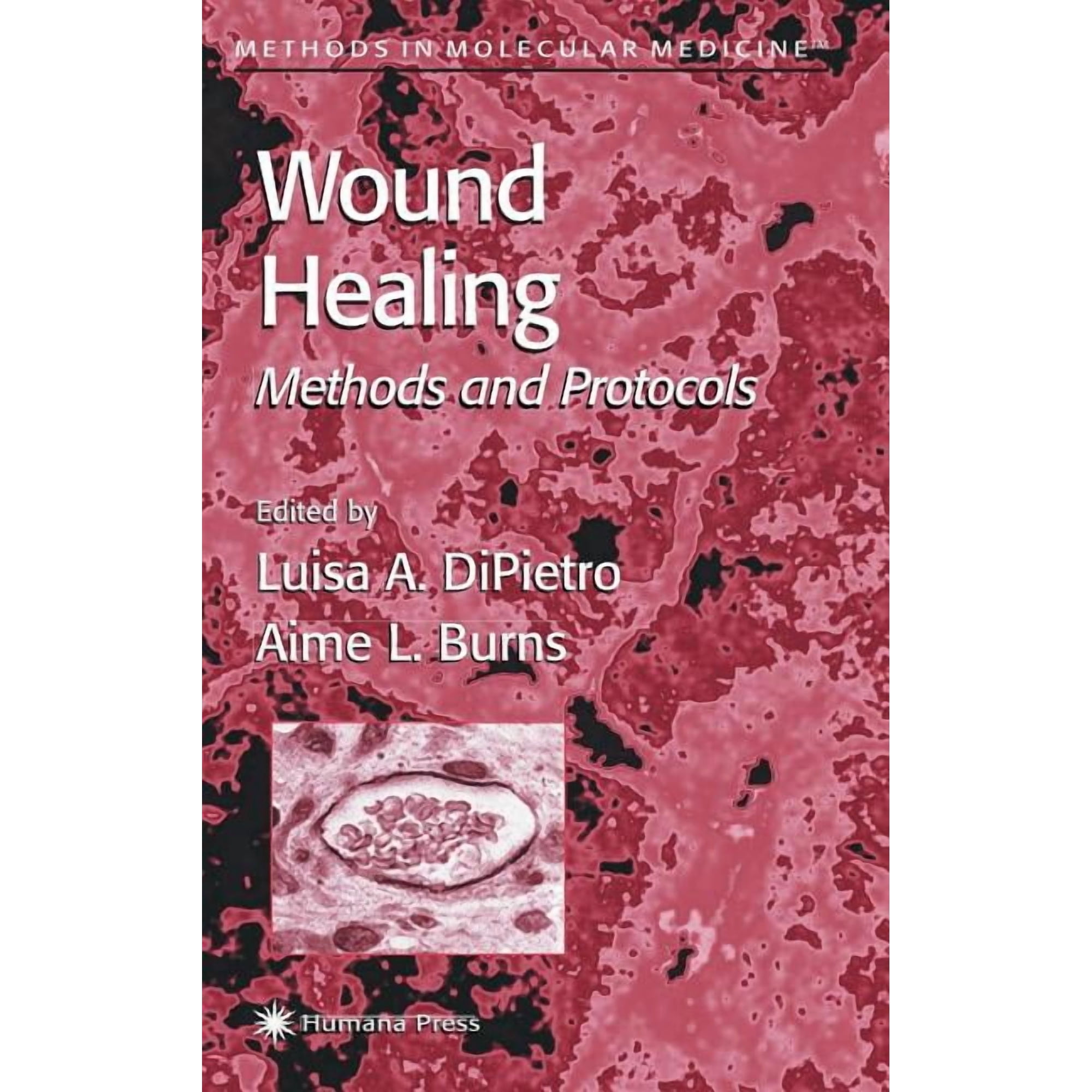 Methods in Molecular Medicine Wound Healing: Methods and Protocols Book 78 (Hardcover)