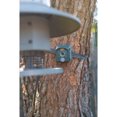 Wingscapes BirdCam MotionActivated Bird Camera 42 Megapixels