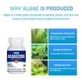 thumbnail image 4 of ZZwxWA My Order Aquarium Algaecide Control Detergent Purification Water 50ml, 4 of 5