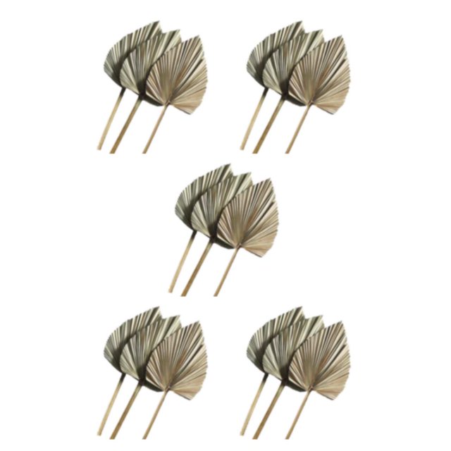 Wosthever 3 unids/set hoja de palma Natural para decoración del hogar-lanzas de palma secas naturales multifuncionales y duraderas 20 cm * 25 cm Type1 NO1
