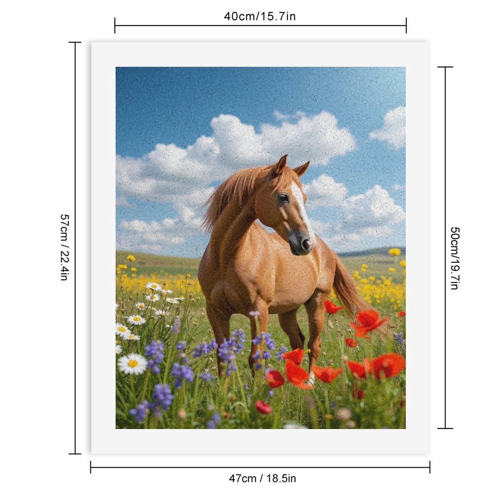 Paint By Numbers Kit for Adults Beginner - DIY Horse In Colorful Flower Field Canvas Painting Kits for Adults, Frameless Paint By Number for Adults for Home Wall Decor 16x20 Inch