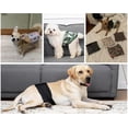 thumbnail image 4 of Pañales lavables para perros machos (paquete de 6), bandas para el vientre de perros machos duraderas y reutilizables (cintura M 13,4 ~ 17,3 pulgadas) pañales para perros, cinturón de cortes, 4 of 5