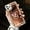 Rose Gold, variant on Mirror Case for iPhone 12/iPhone 12 Pro 6.1 inch Bling Diamond Glitter Case with Bear Ring Holder Kickstand Stand Rhinestone Crystal Cute for Women Girls Make Up Protection Cover Rose Gold