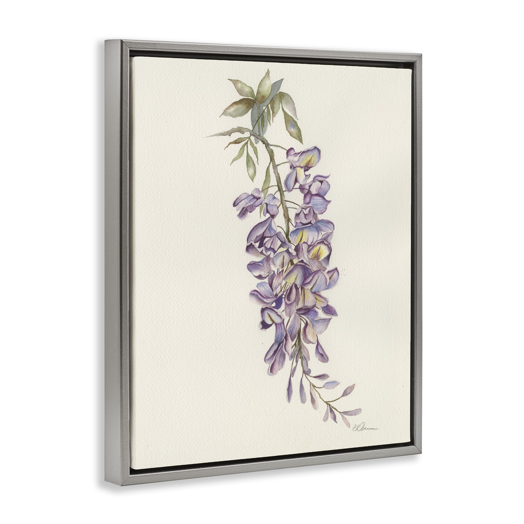 Stupell Industries Delicate Hyacinths Study Gray Framed Floater Canvas Wall Art, design by Cady Driver