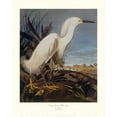 thumbnail image 2 of Audubon, John James 26x32 White Modern Wood Framed Museum Art Print Titled - Snowy Heron Or White Egret (decorative border), 2 of 4