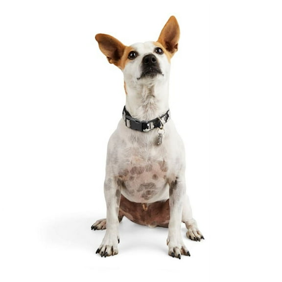 YOULY The Legend Black & White Camo Dog Collar, Large