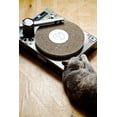 thumbnail image 4 of Suck UK | DJ Decks Cat Scratcher | Cardboard Cat Scratching Posts | Cat Accessories, 4 of 8