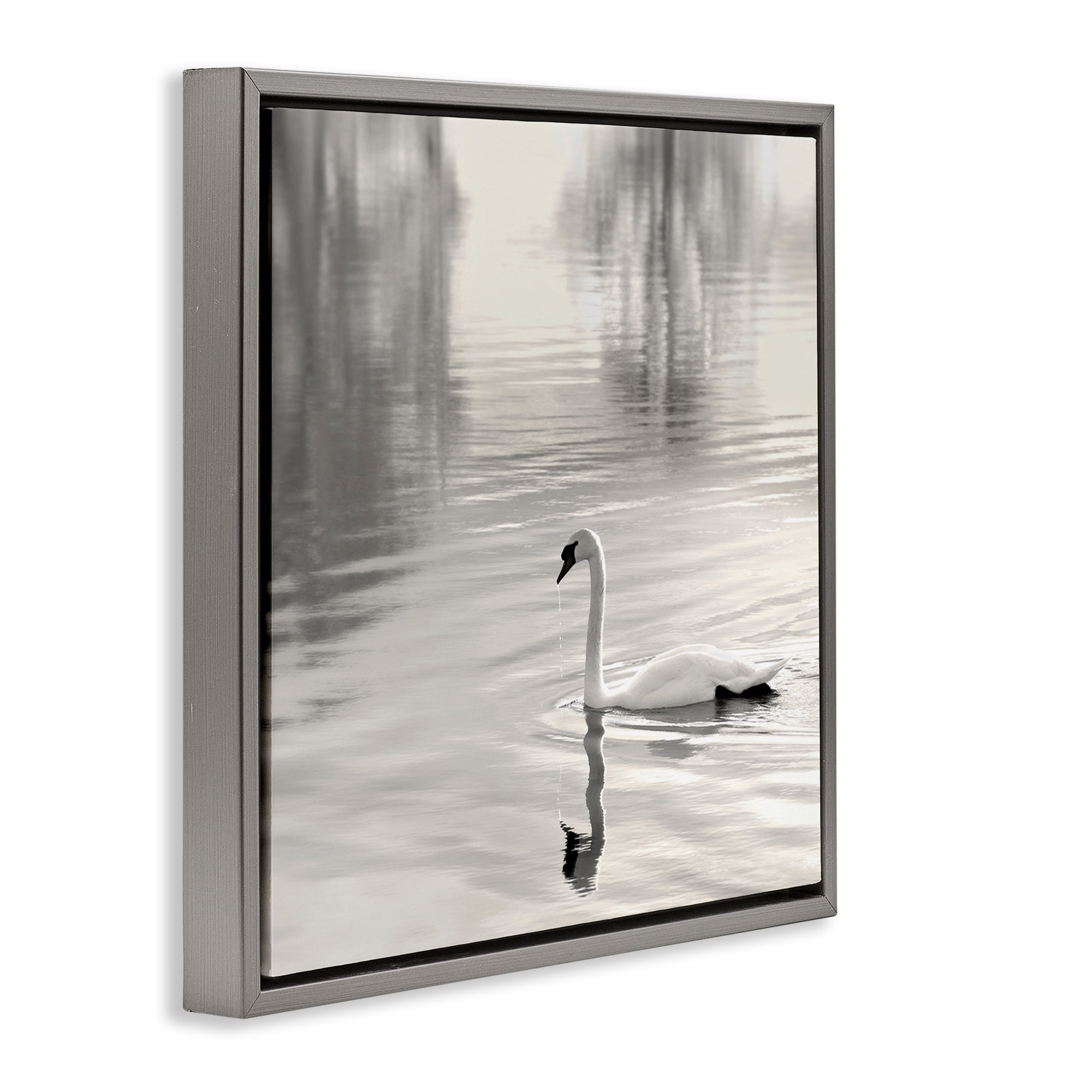Stupell Industries Morning Sunlit Swan Gray Framed Floater Canvas Wall Art, design by Nicholas Bell