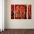 thumbnail image 3 of Trademark Fine Art "The Red Way" Canvas Art by Philippe Sainte-Laudy Three Panel Set, 3 of 3