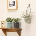 thumbnail image 4 of Paquete de 3 macetas suculentas de dos piezas de 3,5 pulgadas con drenaje, mango extraíble flexible, macetas de flores, macetas pequeñas para mini plantas, macetas colgantes en la pared o ventana Ormromra HMHZ583, 4 of 5