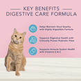 thumbnail image 4 of Blue Buffalo True Solutions Blissful Belly Digestive Care Formula Adult Dry Cat Food, 11 lb (2 Pack), 4 of 5