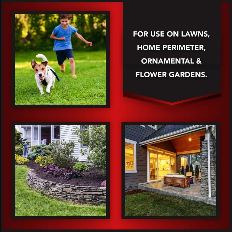 Lawn flea and tick killer cheap