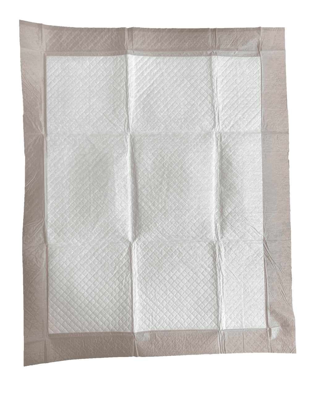 Alpha Dog Series Potty Training Tray Size Pads Ultra Absorbent Pee Pads for Dogs Leak Proof Fast Drying Odor Neutralizer Protect Floors (16.9 in x 20.8 in) - 400ct