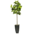 thumbnail image 4 of LCG Florals Artificial Tree, Fig Tree, 6 ft, Black Metal Container, 4 of 8
