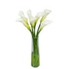 7 Fresh Cut White Calla Lilies by Arabella Bouquets with a Free Elegant Hand-Blown Glass Vase (Fresh-Cut Flowers, White)