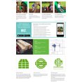 Backyard Discovery Mount Triumph Swing Set