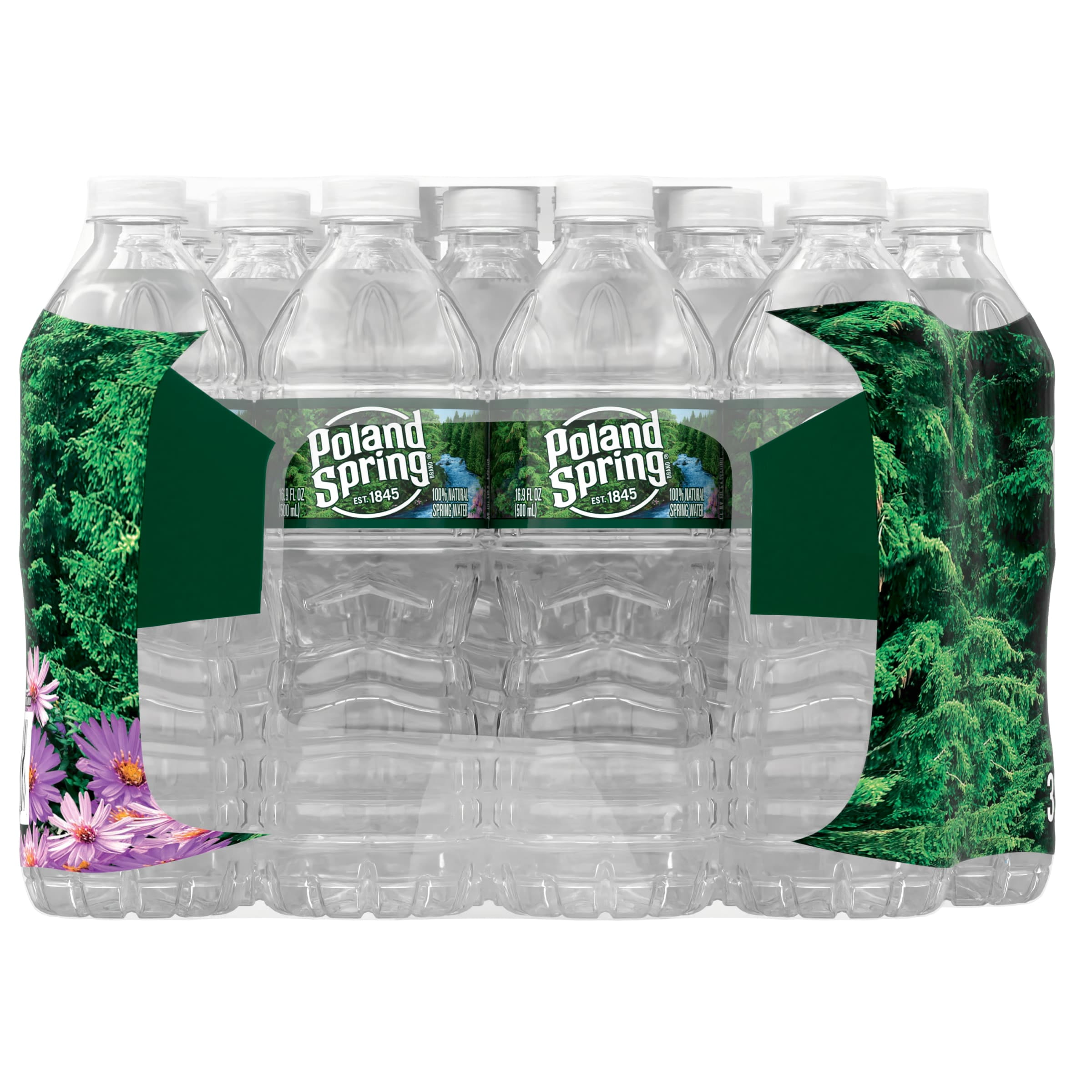 Poland Spring - Brandclub - Poland Spring Maine Spring Water, 16.9