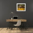 thumbnail image 3 of Linden, Sally 30x26 White Modern Wood Framed Museum Art Print Titled - Horses In Gold, 3 of 4