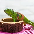 thumbnail image 4 of Shisuyan 1 Set Adjustable Bearded Dragon Harness And Leash Set Soft Lizard Walking Vest With Traction Rope For Reptiles And Small Pets Outdoor Safety, 4 of 8