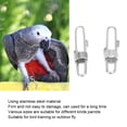 thumbnail image 3 of Parrots Leg Buckle, Parrots Foot Buckle, Durable Parrots Foot  2Pcs Stainless Steel Parrots Leg  Bird Parrots Parrots Foot  For Pet, 3 of 8