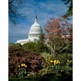 thumbnail image 2 of Highsmith, Carol 20x24 White Modern Wood Framed Museum Art Print Titled - U.S. Capitol, Washington, D.C. Number 3, 2 of 4