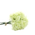 thumbnail image 2 of Flmtop 5Pcs Faux Flower Vivid Multipurpose Decorative Silk Cloth Peony Flower for Birthday, 2 of 8