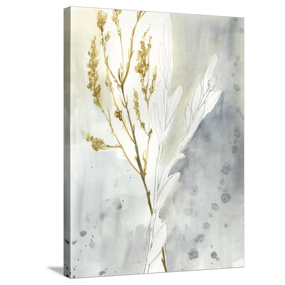 Art.com Wild Grass II Stretched Canvas Print Wall Art by Jennifer Goldberger, 24" x 32"